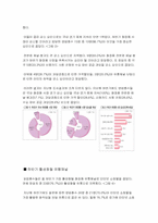 [광고기획서] 미샤 광고기획안-3