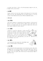 [일본문화] 일본인의 사생관-8