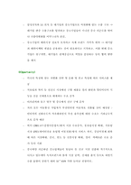 [마케팅] 국내 핸드폰시장 잠재력과 경쟁력분석과 해외마케팅전략-18