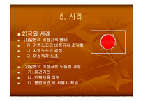 [노동문제] 비정규직근로자의 실태와 법적문제-12