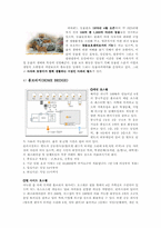 [관광] 에버랜드 분석-13