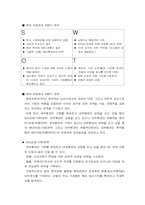 [기업분석] 현대자동차의 기업분석 및 해외진출사례-13