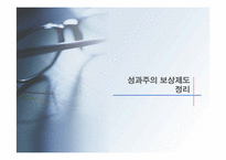 [인적자원관리] 국내외기업의 성과주의 보상제도 도입사례-5