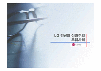 [인적자원관리] 국내외기업의 성과주의 보상제도 도입사례-15