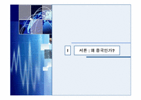 [패션마케팅] 국내 패션기업의 중국진출현황과 전략-3