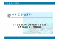 [자원경제학] 한국의 수산자원의 현황과 대책-3