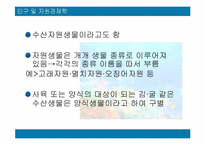 [자원경제학] 한국의 수산자원의 현황과 대책-4