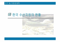 [자원경제학] 한국의 수산자원의 현황과 대책-9