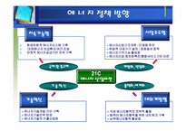 [자원경제학] 에너지현황과 대책-14