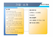 [국제경영] ㈜ 태평양 - 롤리타 렘피카-4
