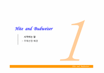 [광고경영] 경쟁구도에 따른 광고캠페인분석 - 하이트 & 버드와이저-3