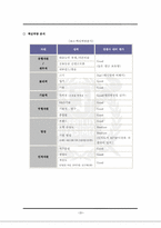 [경영전략] reingcom 레인콤 전략과 분석-20