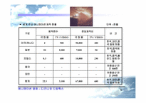 [국제경영] 애니메이션영화산업 -디즈니 vs 드림웍스-10