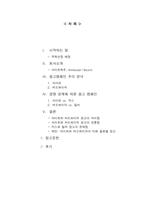 [광고경영] 경쟁구도에 따른 광고캠페인분석 - 하이트 & 버드와이저-2