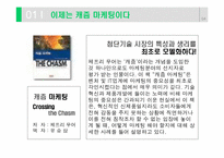 [캐즘마케팅] 벤처 캐즘의 강을 건너라-4