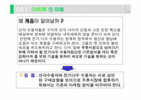 [캐즘마케팅] 벤처 캐즘의 강을 건너라-9