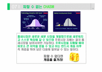 [캐즘마케팅] 벤처 캐즘의 강을 건너라-14