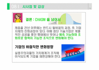 [캐즘마케팅] 벤처 캐즘의 강을 건너라-15