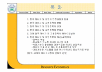 [경제학] 한국자원정책의 문제점과 대책-2