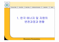 [경제학] 한국자원정책의 문제점과 대책-3