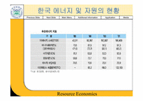 [경제학] 한국자원정책의 문제점과 대책-6