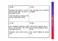 [컨벤션기획서] 2005 제1회 서울 동계 레포츠 박람회-10