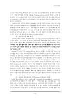 [국제경영] 시티은행의 한국진출 및 현지화전략-13