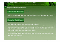 [조직이론] 조직이론을 적용한 바디샵의 사례분석-14