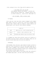 [국제경영] `롤리타 렘피카` 를 통한(주)태평양의 프랑스진출성공사례 연구-10