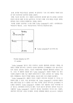 [국제경영] `롤리타 렘피카` 를 통한(주)태평양의 프랑스진출성공사례 연구-11