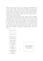 [국제경영] `롤리타 렘피카` 를 통한(주)태평양의 프랑스진출성공사례 연구-16