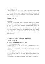 [국제경영전략] 중국가전업체 하이얼의 글로벌 전략-13