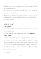 [마케팅] 현대자동차 `투싼`의 마케팅전략-17
