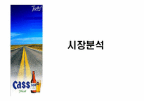 [광고조사] 카스맥주 cass광고전략 수립을 위한 광고조사-3