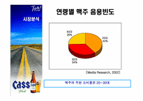 [광고조사] 카스맥주 cass광고전략 수립을 위한 광고조사-5