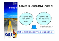[광고조사] 카스맥주 cass광고전략 수립을 위한 광고조사-8