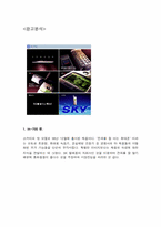 [광고분석] sk텔레콤 `sky`스카이 광고사례분석-12