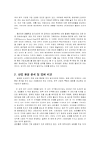 [마케팅조사] 제약산업 마케팅능력과 기업성과에 대한 고찰-4