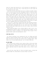 [패션마케팅] 한국의 SPA 브랜드-18