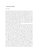 [공공정책] 새만금간척종합개발사업과 정책과정-4