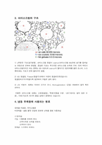 [식품가공]아이스크림-4