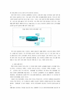 애견보험의 시장분석과 전략-6