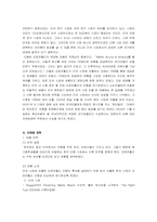 [국제경영사례분석] 오로라월드의 국제경영사례-3