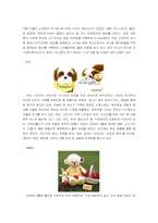 [국제경영사례분석] 오로라월드의 국제경영사례-6