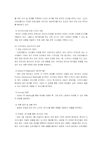 [국제경영사례분석] 오로라월드의 국제경영사례-8
