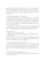 [국제경영사례분석] 오로라월드의 국제경영사례-10