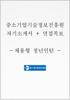 중소기업기술정보진흥원 NCS기반 채용형 인턴 자기소개서(자소서+면접)-1