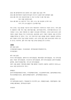 [국제경영성공사례] 현대자동차의 국제전략-3