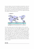 [국제경영성공사례] 현대자동차의 국제전략-7