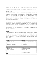 [국제경영성공사례] 현대자동차의 국제전략-11